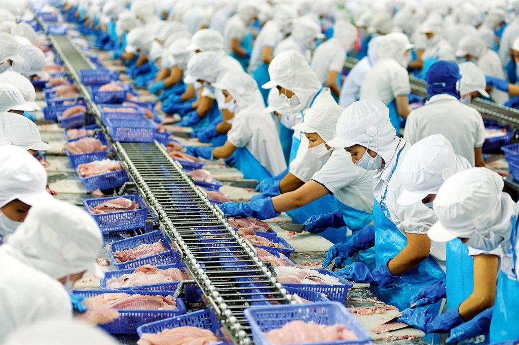 Vietnam Pangasius participate in worldwide aquaculture growth